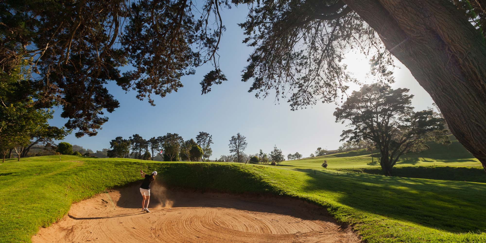 Real Club de Golf de Tenerife Web Oficial Real Club de Golf de Tenerife Web Oficial